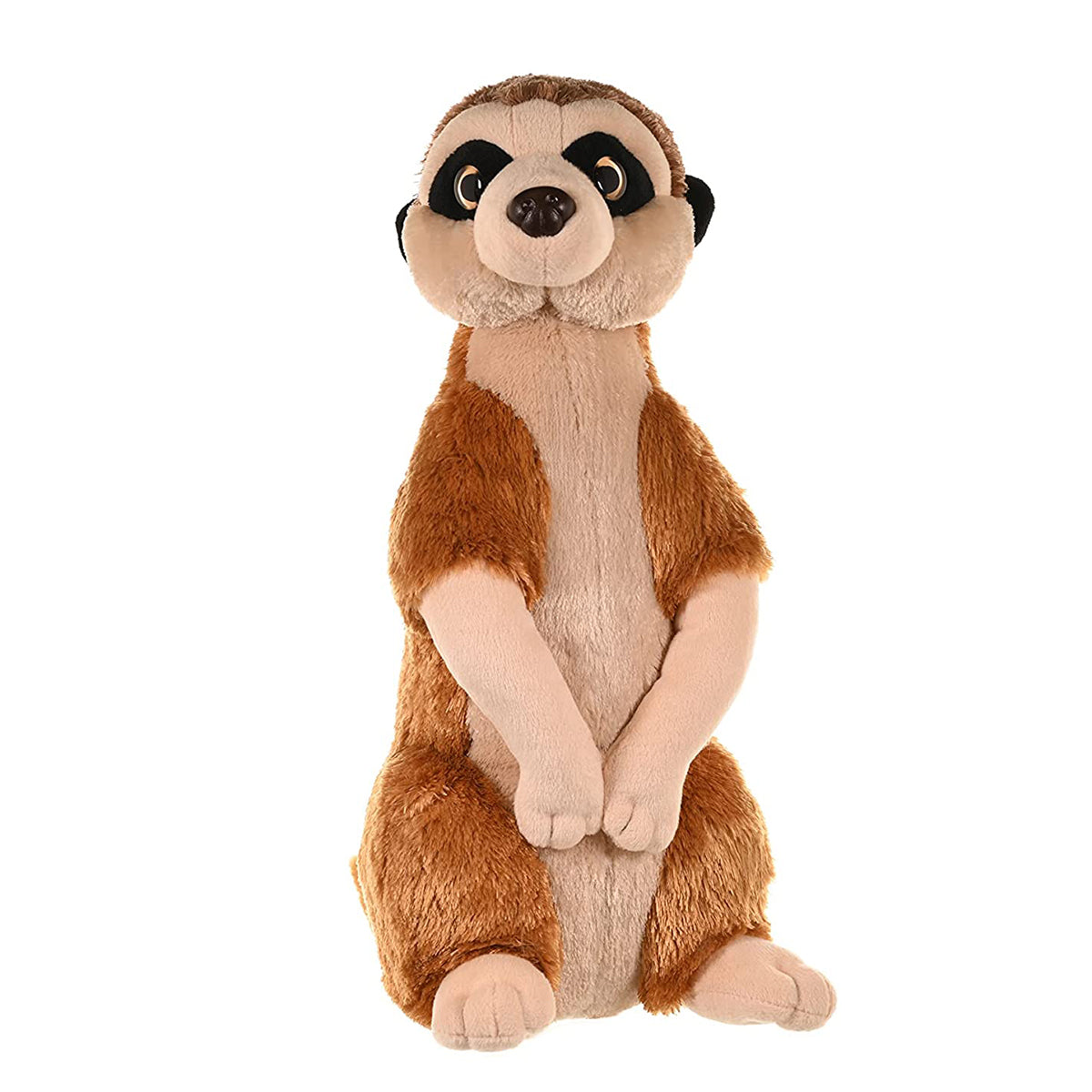 CK MEERKAT 12INCH
