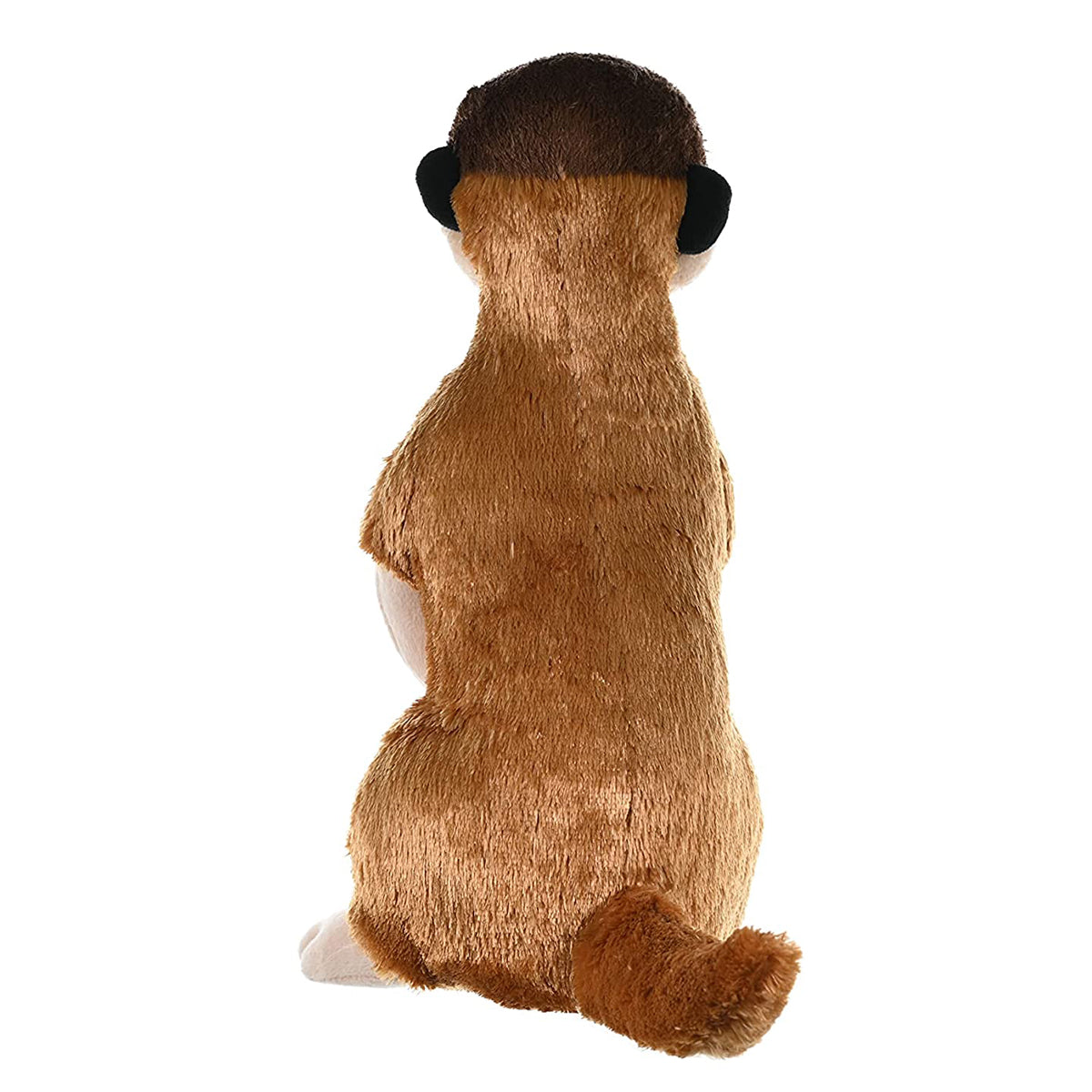 CK MEERKAT 12INCH