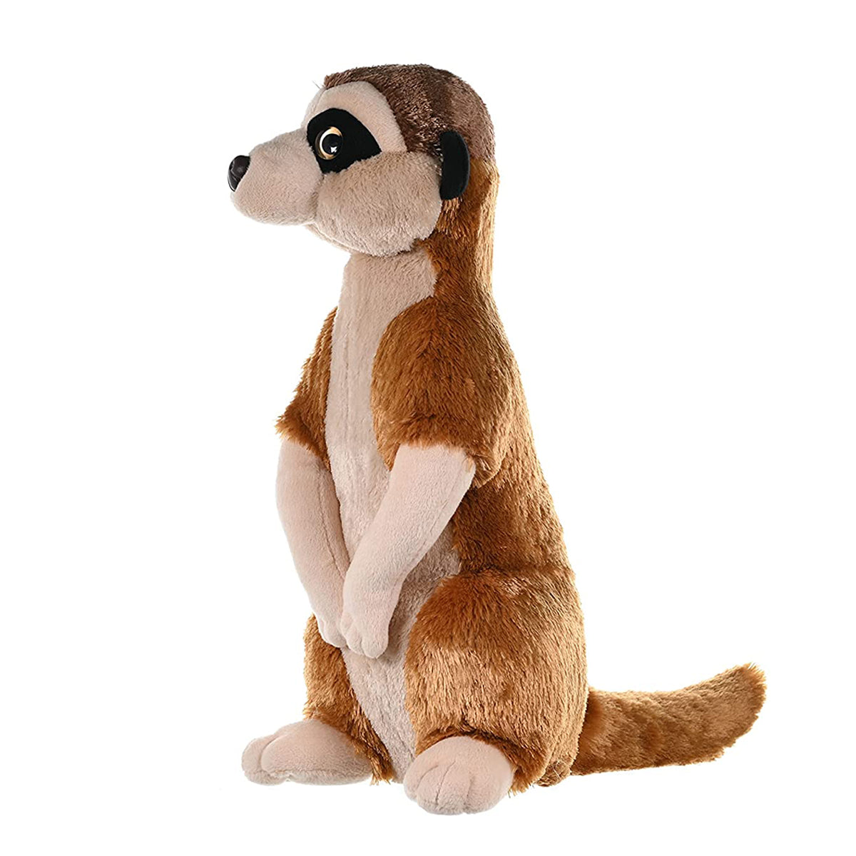 CK MEERKAT 12INCH