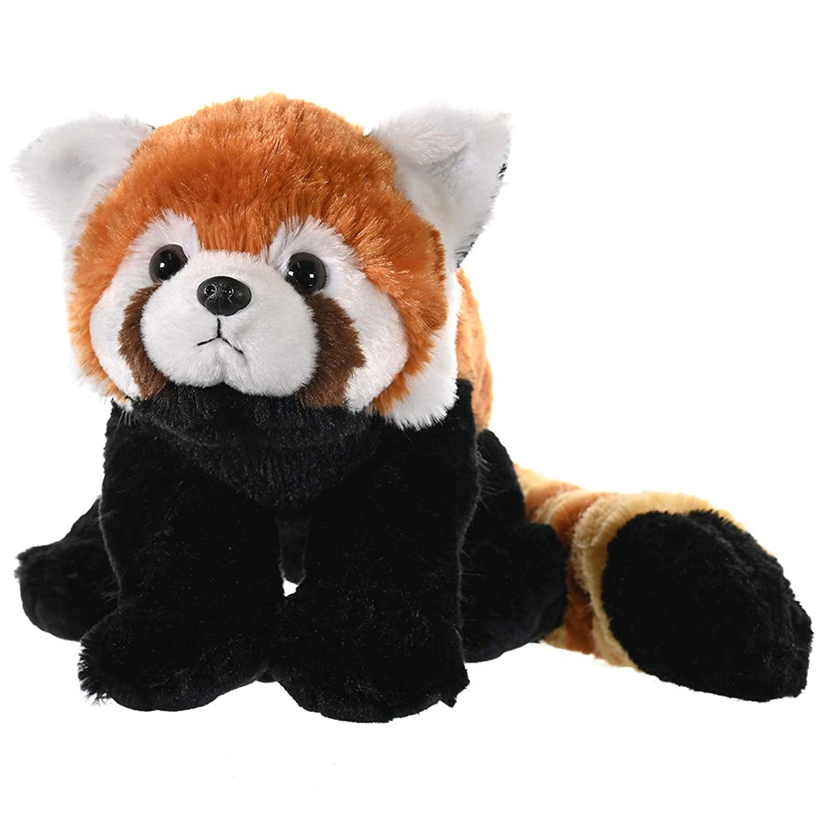 CK RED PANDA 12INCH Sydney Zoo CK RED PANDA 12INCH Sydney Zoo