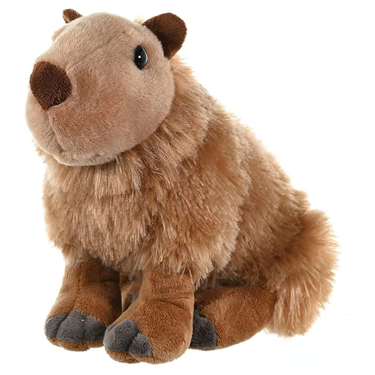 CK CAPYBARA 12INCH