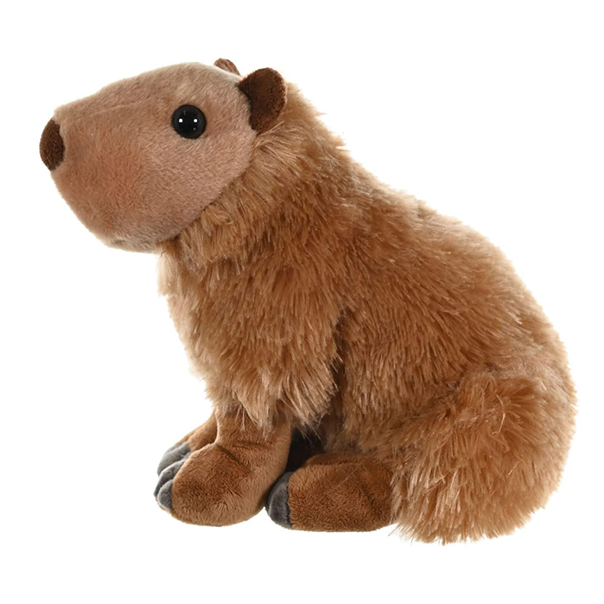 CK CAPYBARA 12INCH