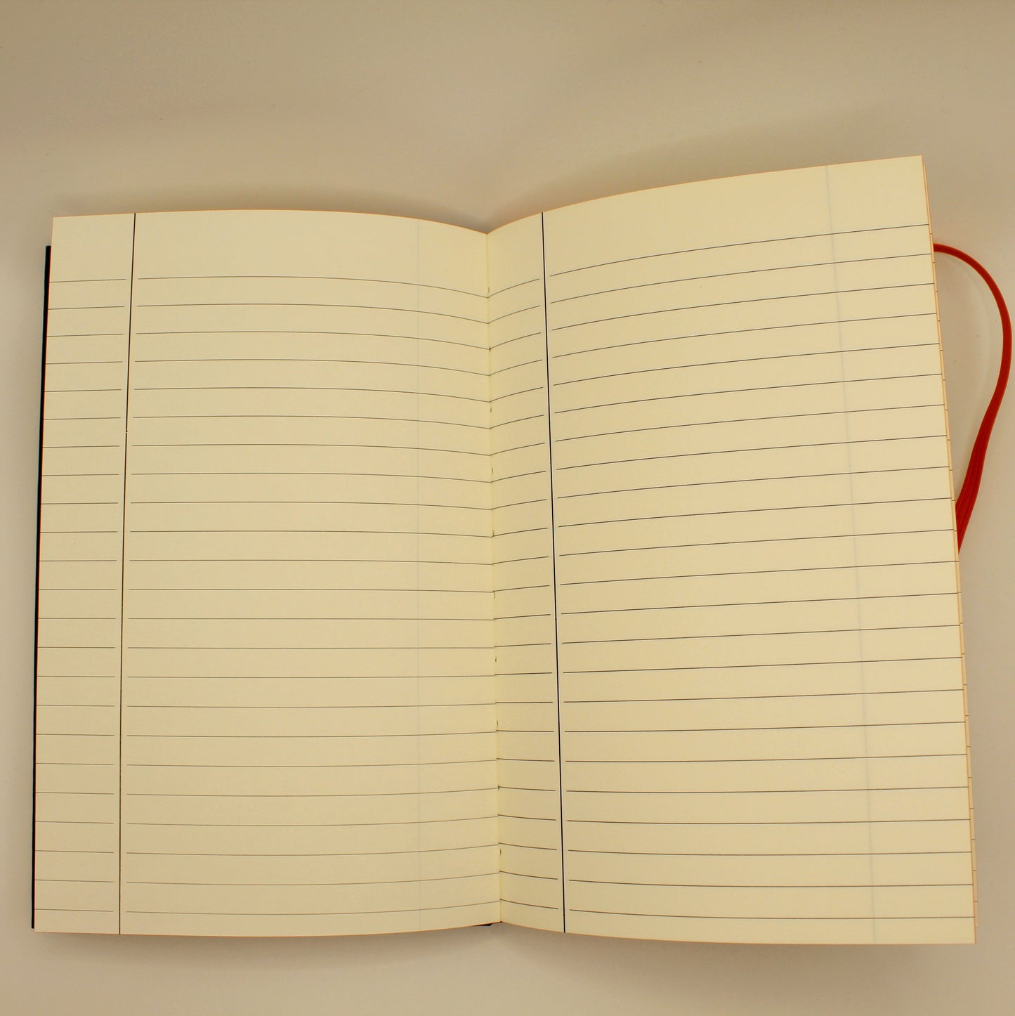 JOURNAL STEALTH LION