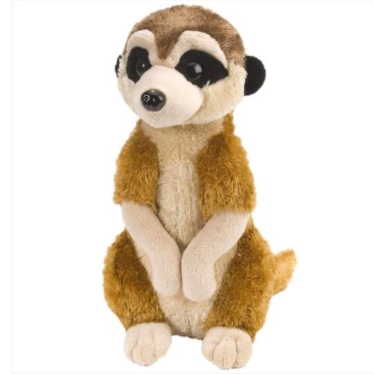 CK MINI MEERKAT 8INCH