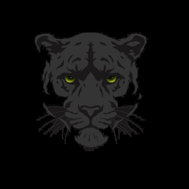 TSHIRT STEALTH PANTHER