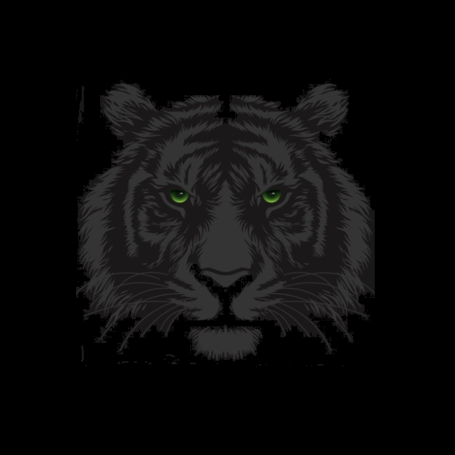 TSHIRT STEALTH TIGER