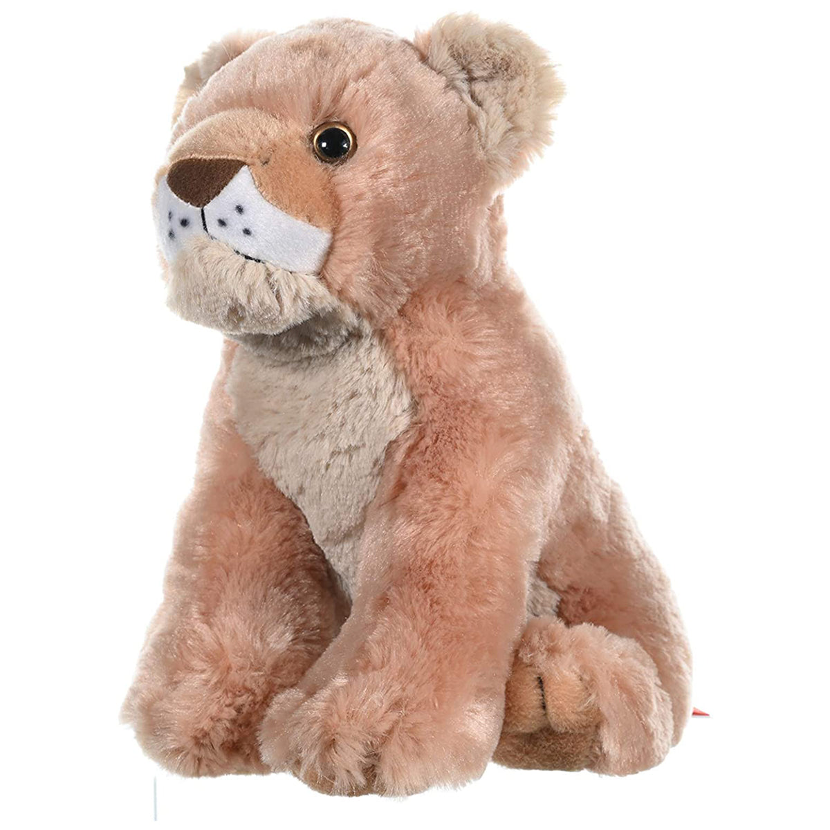 CK LION CUB 12INCH