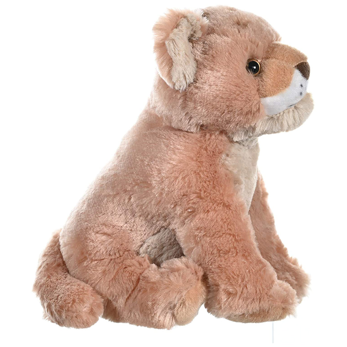 CK LION CUB 12INCH