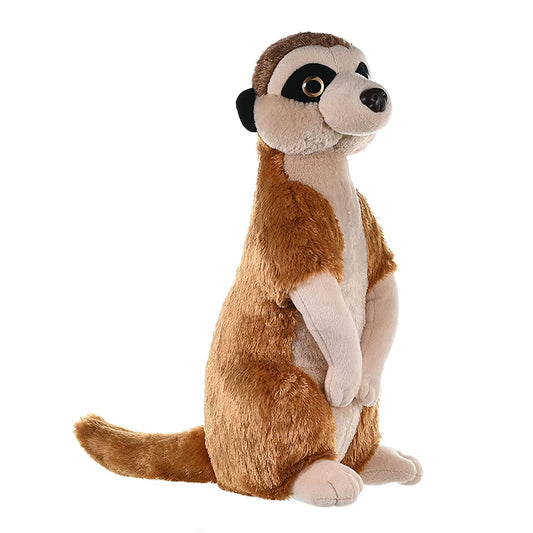 CK MEERKAT 12INCH