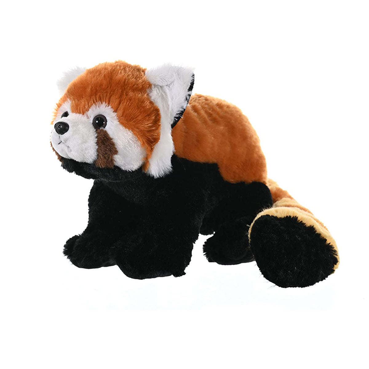 CK RED PANDA 12INCH