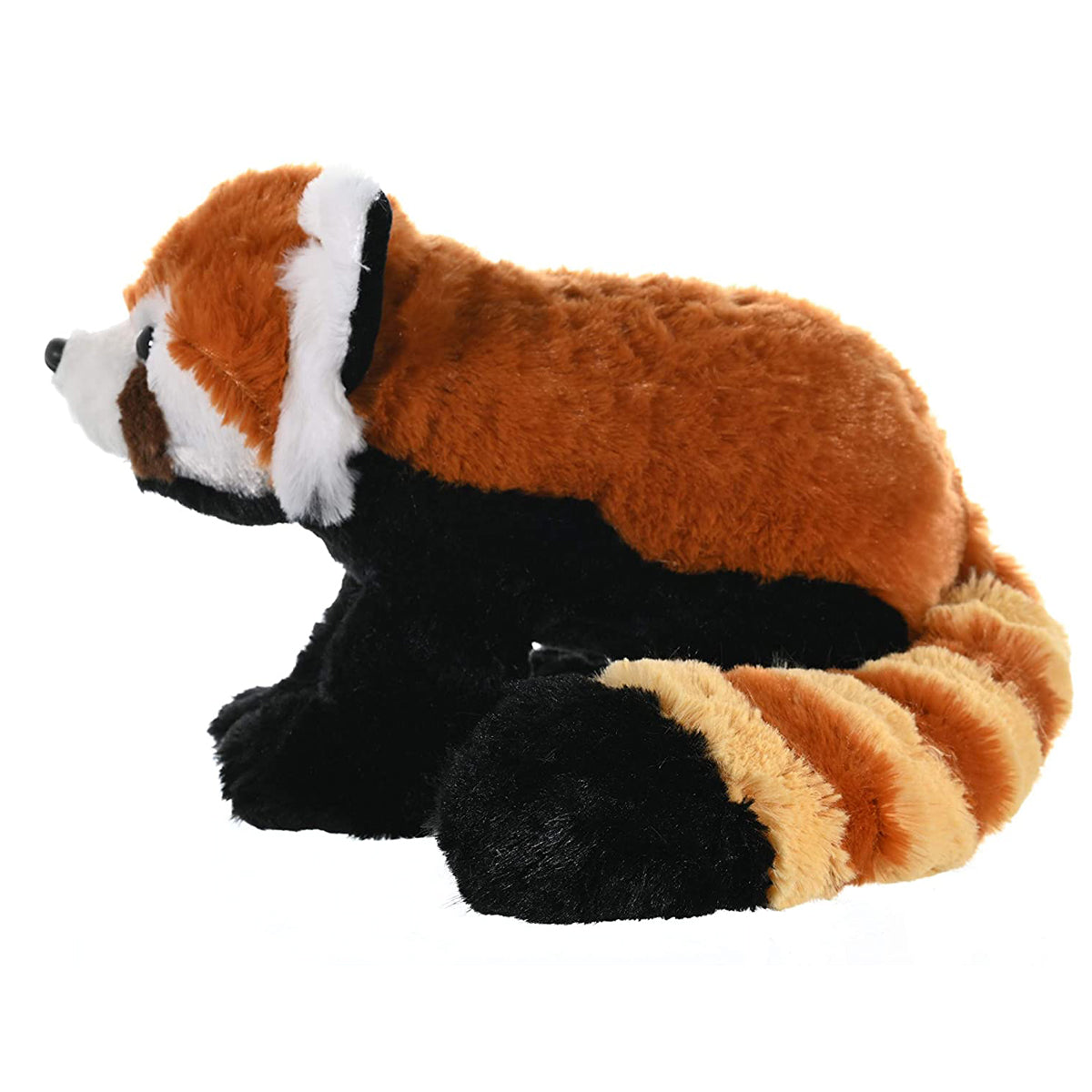 CK RED PANDA 12INCH