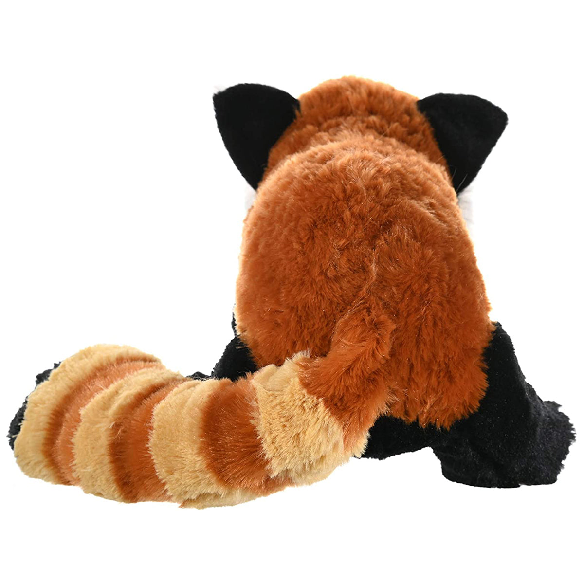 CK RED PANDA 12INCH