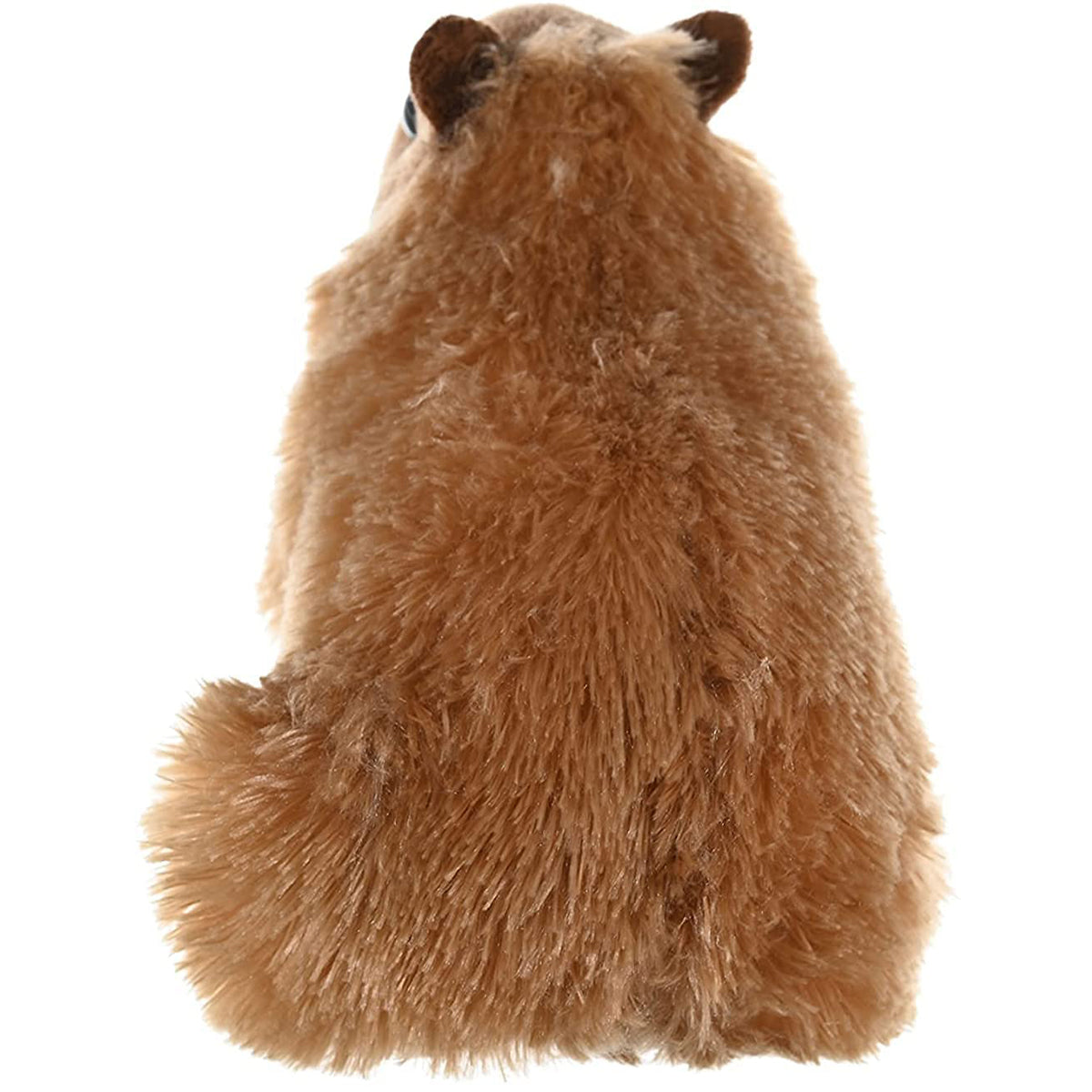 CK CAPYBARA 12INCH