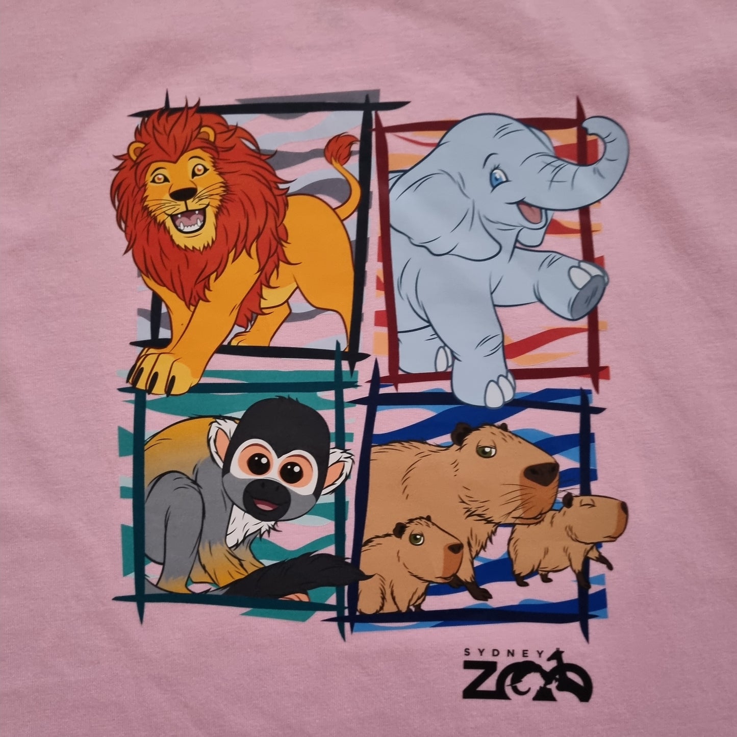 TSHIRT LION AND PALS