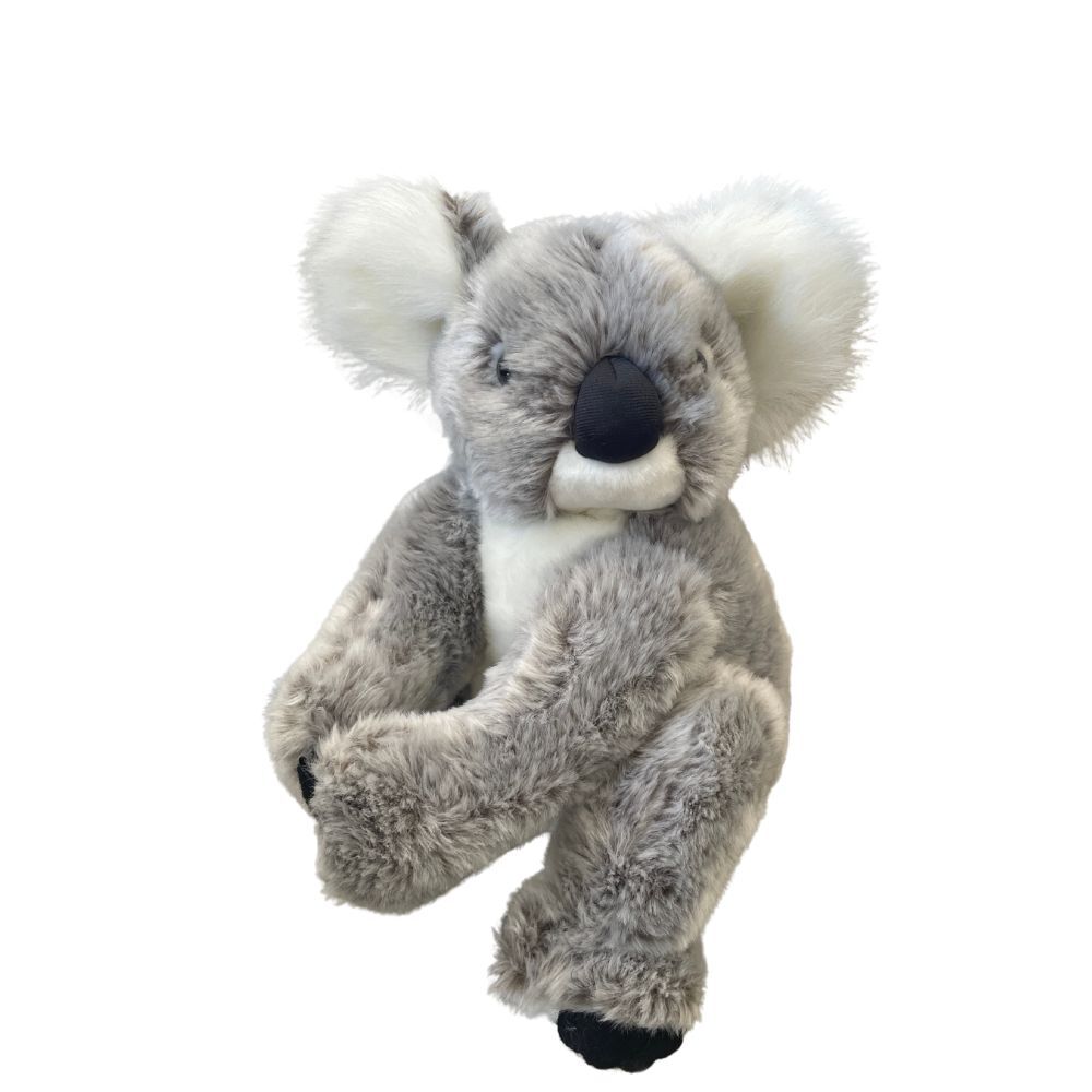 KOALA MELISSA – Sydney Zoo