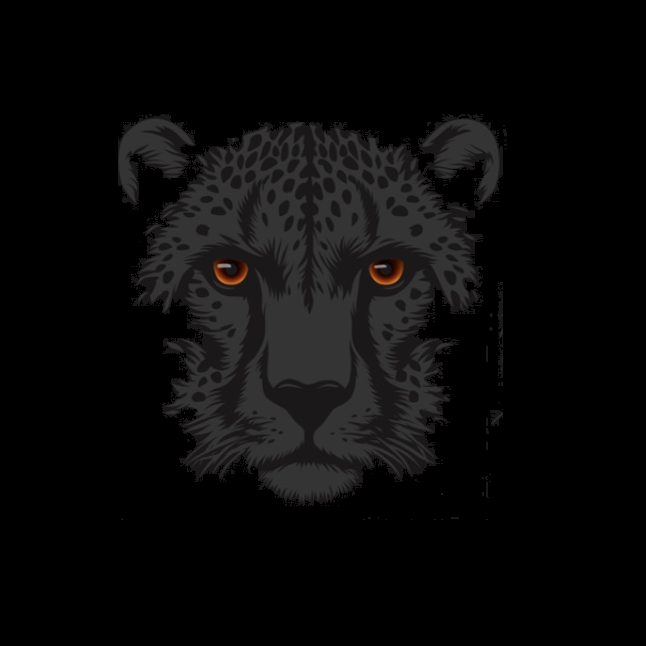 TSHIRT STEALTH CHEETAH
