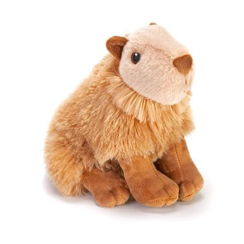 CK MINI ECO CAPYBARA