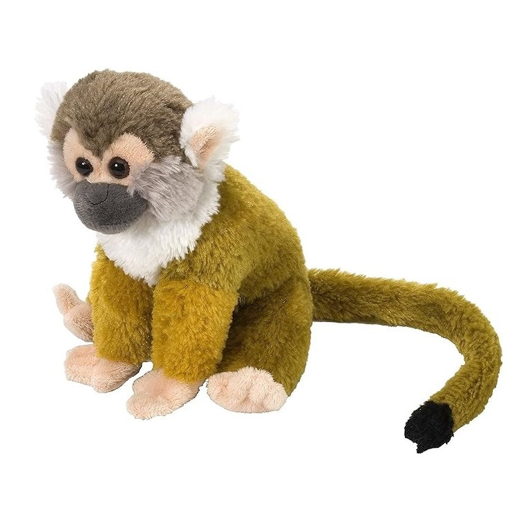 Mini Monkney CK MINI SQUIRREL MONKEY 8INCH – Sydney Zoo