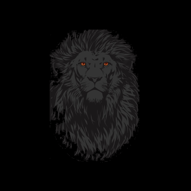 TSHIRT STEALTH LION