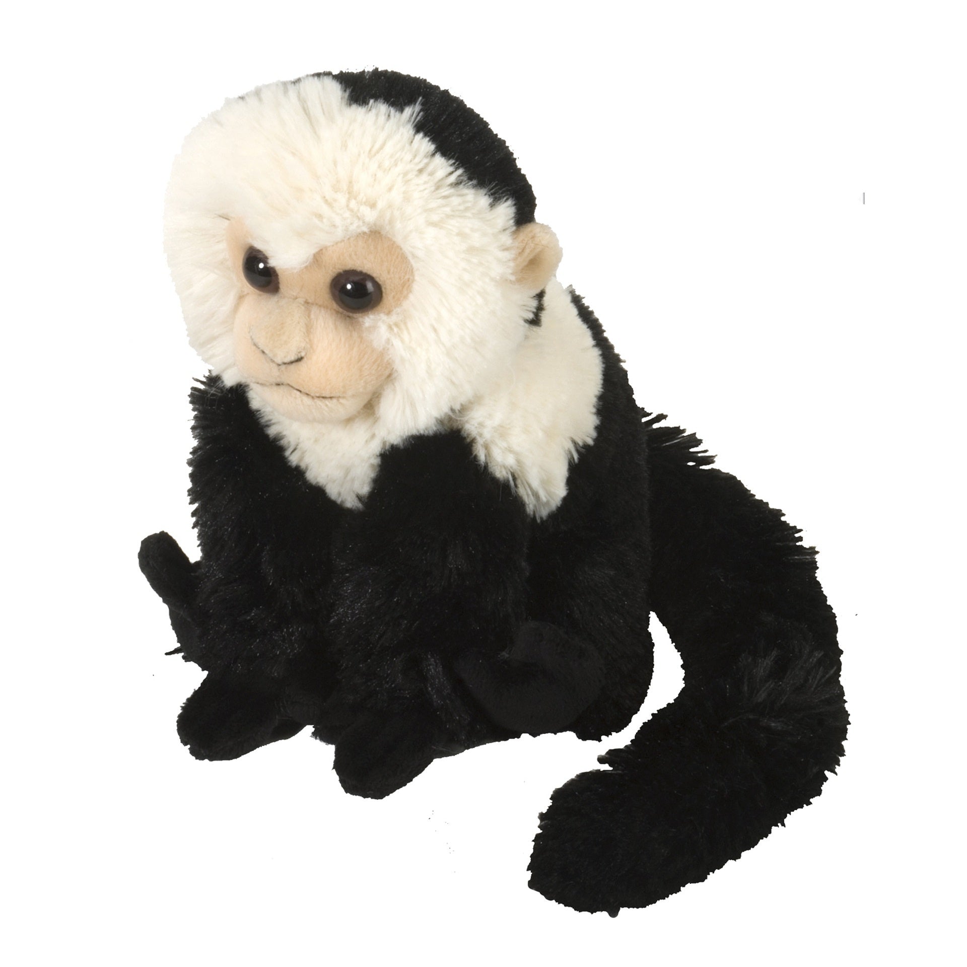 Mini Monkney CK MINI CAPUCHIN MONKEY – Sydney Zoo